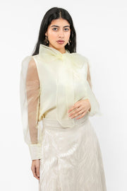 women top with puffed organza sleeves