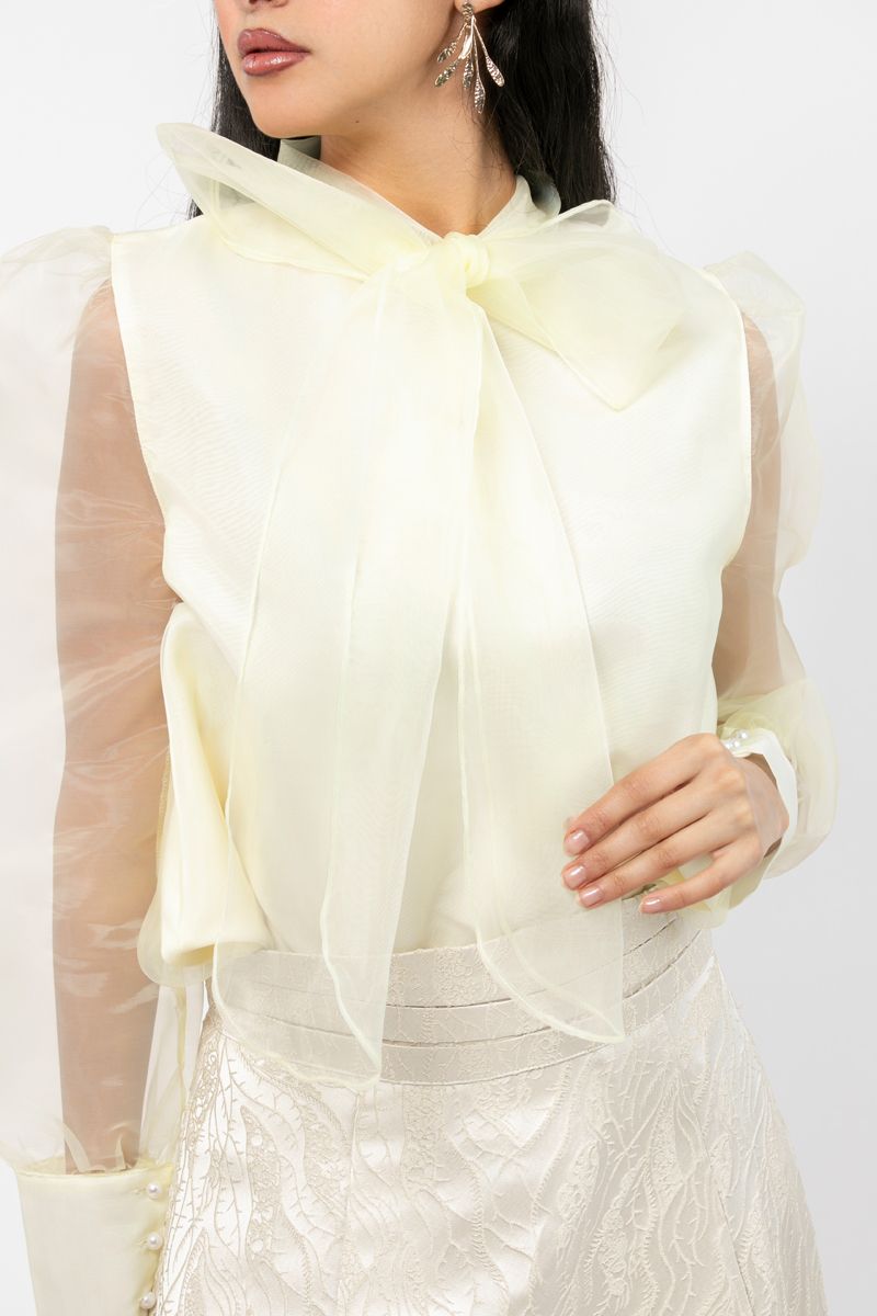 women top with puffed organza sleeves