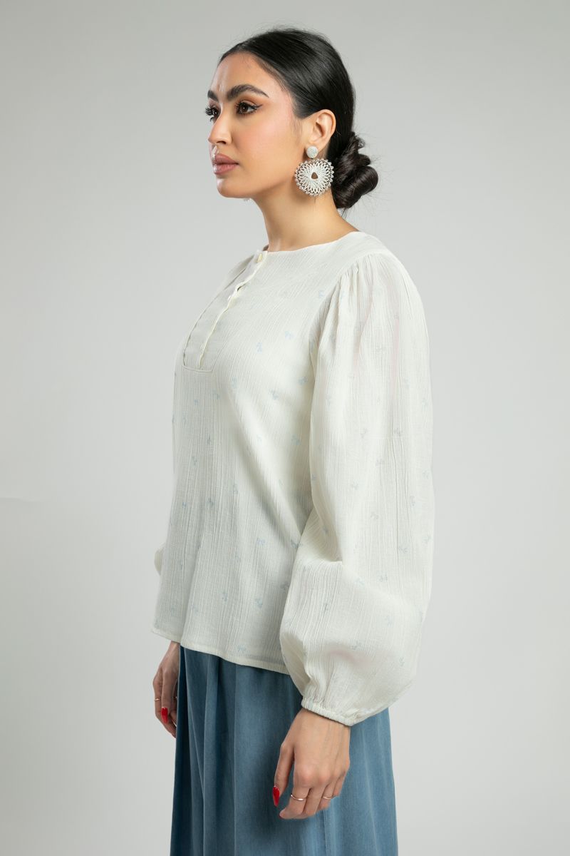 Textured Blouse with Embroidered Motifs