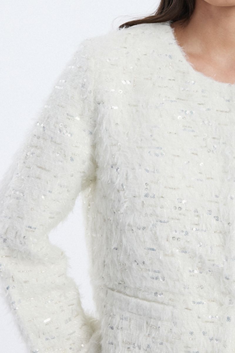 Women textured sequin jacket