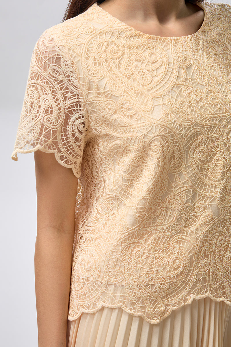 Buy now Short Sleeve Lace Top for Women Online | Rina – Rina Fashion