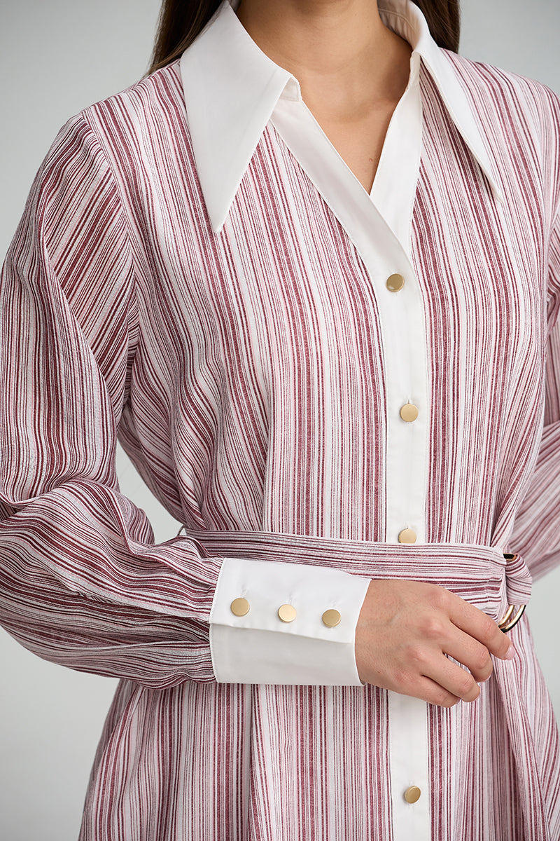 Striped Belted Shirt Dress