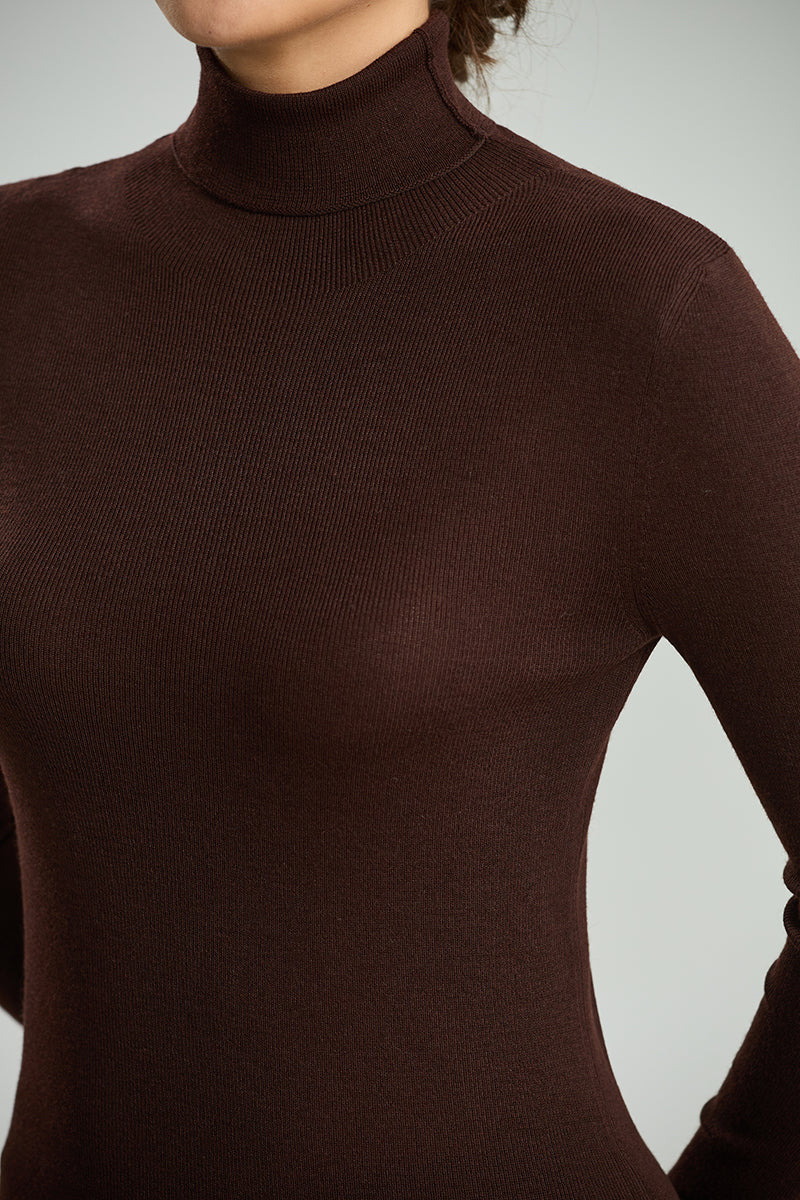 Fitted Turtleneck Knit Sweater